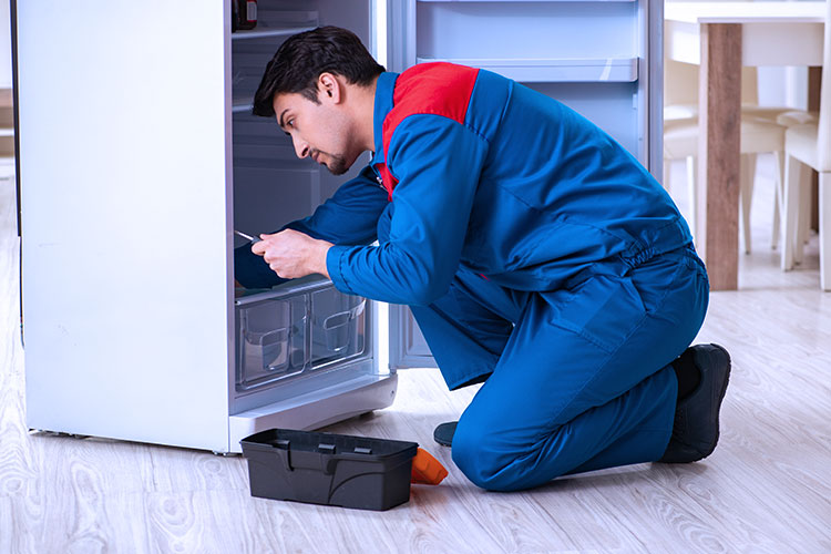 Refrigerator repair